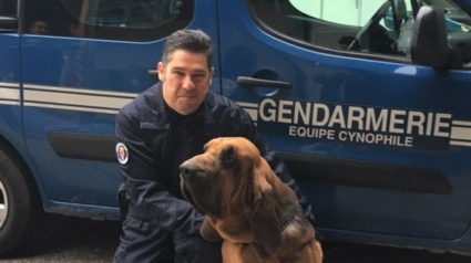 Illustration : Hugo, le chien de recherche des gendarmes du Gard, prend sa retraite