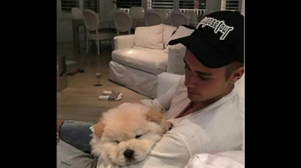 Illustration : Justin Bieber abandonne son chien malade !