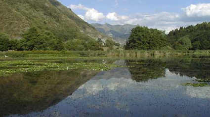 Illustration : Haute-Savoie : Grosse frayeur pour une femme ayant tenté de sauver son chien dans un lac gelé