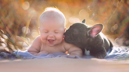 Illustration : 20 magnifiques photos illustrant l'amitié entre un enfant et son chien