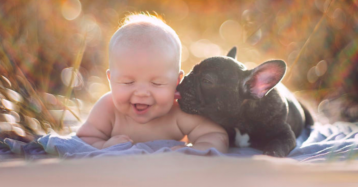 Magnifiques Photos Illustrant L Amitie Entre Un Enfant Et Son Chien