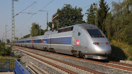 Illustration : Miracle dans le Pays basque : un chien toujours en vie bien que percuté par un TGV !