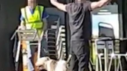 Illustration : Angleterre : Un homme interpellé après avoir lâché ses chiens sur des passants