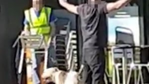 Illustration : Angleterre : Un homme interpellé après avoir lâché ses chiens sur des passants