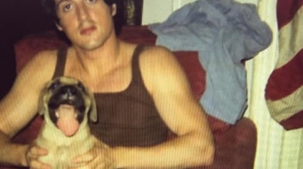 Illustration : Sylvester Stallone rend un vibrant hommage à son chien, compagnon d’infortune de ses jeunes années