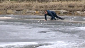 Illustration : Un homme se jette dans un lac gelé pour sauver son chien