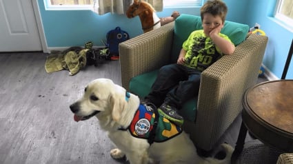 Illustration : Belle surprise de Pâques pour cet enfant autiste, qui rencontre enfin son chien d’assistance