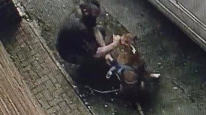 Illustration : Angleterre : Un homme arrêté après avoir battu sa chienne dans la rue