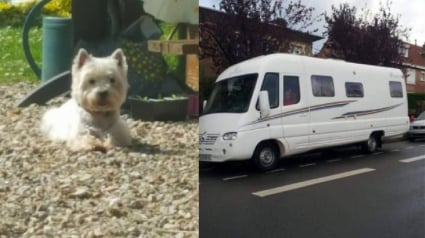 Illustration : Lomme (59) : En ressortant de l’hypermarché, leur camping-car a disparu et le chien avec