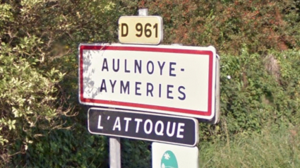 Illustration : Aulnoye-Aymeries (59) : Elle néglige son chien, puis nie en être la propriétaire