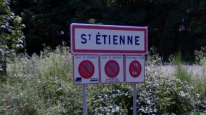 Illustration : Saint-Etienne : Un automobiliste abandonne son chien sur la route, un membre du voisinage réagit