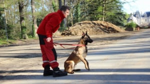 Illustration : Loire-Atlantique : Icare, chien-pompier héroïque, a sauvé 2 personnes en 2 semaines