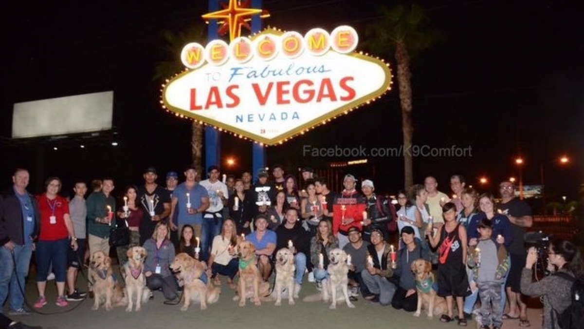 Illustration : "Las Vegas : Des chiens venus des 4 coins du pays pour réconforter les survivants"