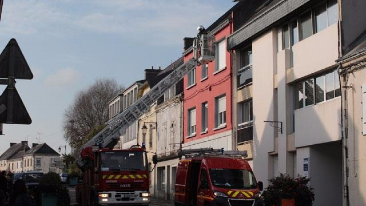 Illustration : "Finistère : les pompiers sauvent un chien d'une chute de 15 mètres"