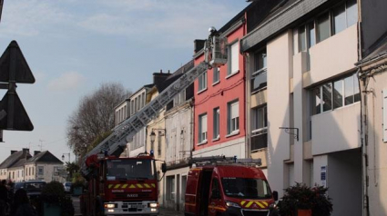 Illustration : Finistère : les pompiers sauvent un chien d'une chute de 15 mètres