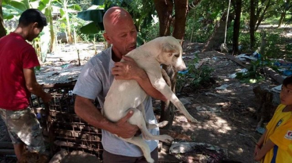 Illustration : Cambodge : Un homme sauve un chien qui allait être abattu pour sa viande