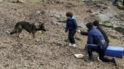 Illustration : Etats-Unis : Un chien rattrapé après une poursuite de 3 heures dans un aéroport