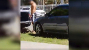 Illustration : Australie : Un homme filmé pendant qu’il frappait son chien près de la plage