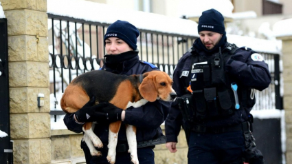 Illustration : Viroflay (78) : Un chien bloqué dans le froid et la neige restitué à son propriétaire grâce aux policiers