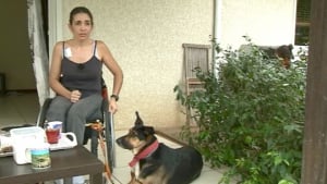 Illustration : Une femme en fauteuil roulant et son chien d’assistance refoulés et violentés dans un supermarché