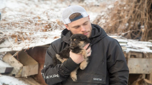 Illustration : Un skieur américain adopte une chienne lors des JO d’hiver en Corée du Sud