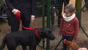 Illustration : Le chien d'Emmanuel Macron accueille froidement les 2 nouvelles poules de l'Elysée !