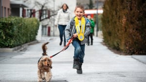 Illustration : Ce chien aide un enfant diabétique à prévenir les crises d’hypoglycémie