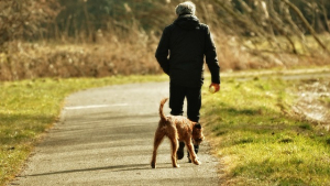 Illustration : 5 conseils pour construire une relation solide avec un chien adopté dans un refuge