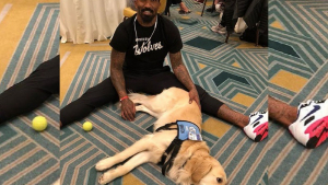 Illustration : Grâce au soutien d'un chien d'assistance un joueur de NBA revient plus fort ! 