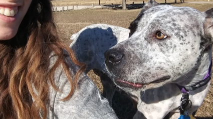 Illustration : Cette femme a été forcée de choisir entre son chien ou son logement ! (Vidéo)