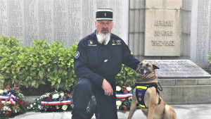 Illustration : Gipsy, chienne de la gendarmerie, décorée à l'occasion du 8 mai