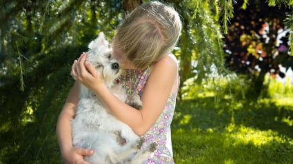 Illustration : Une adolescente perdue, restituée à sa famille grâce à la puce de son chien