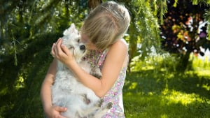 Illustration : Une adolescente perdue, restituée à sa famille grâce à la puce de son chien