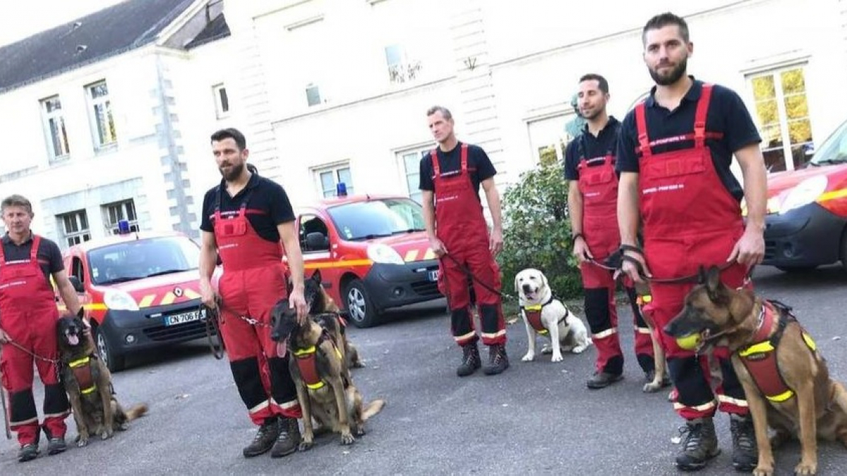 Illustration : "Une femme de 84 ans égarée, sauvée par le chien des pompiers"