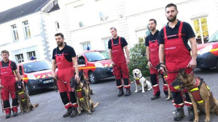 Illustration : Une femme de 84 ans égarée, sauvée par le chien des pompiers