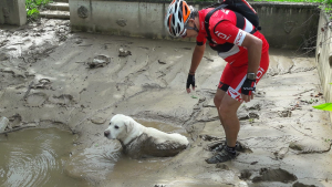 Illustration : Pris au piège dans la boue un chien sauvé par un groupe de cyclistes