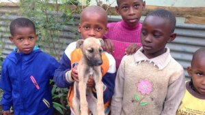 Illustration : Des enfants récupèrent et sauvent un chiot en rentrant de l'école