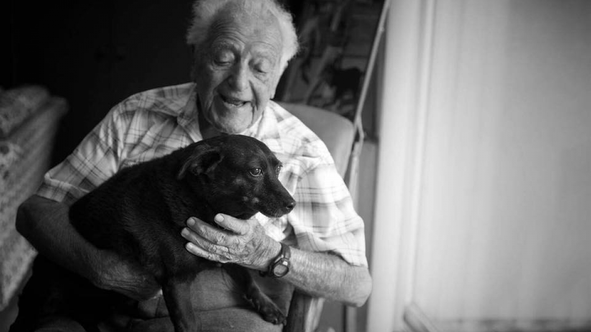 Illustration : "À 104 ans, il a toujours vécu avec des chiens, une association lui permet d'en adopter un ! "