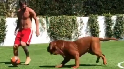 Illustration : Quand Messi pratique l'art du dribble sur son chien !