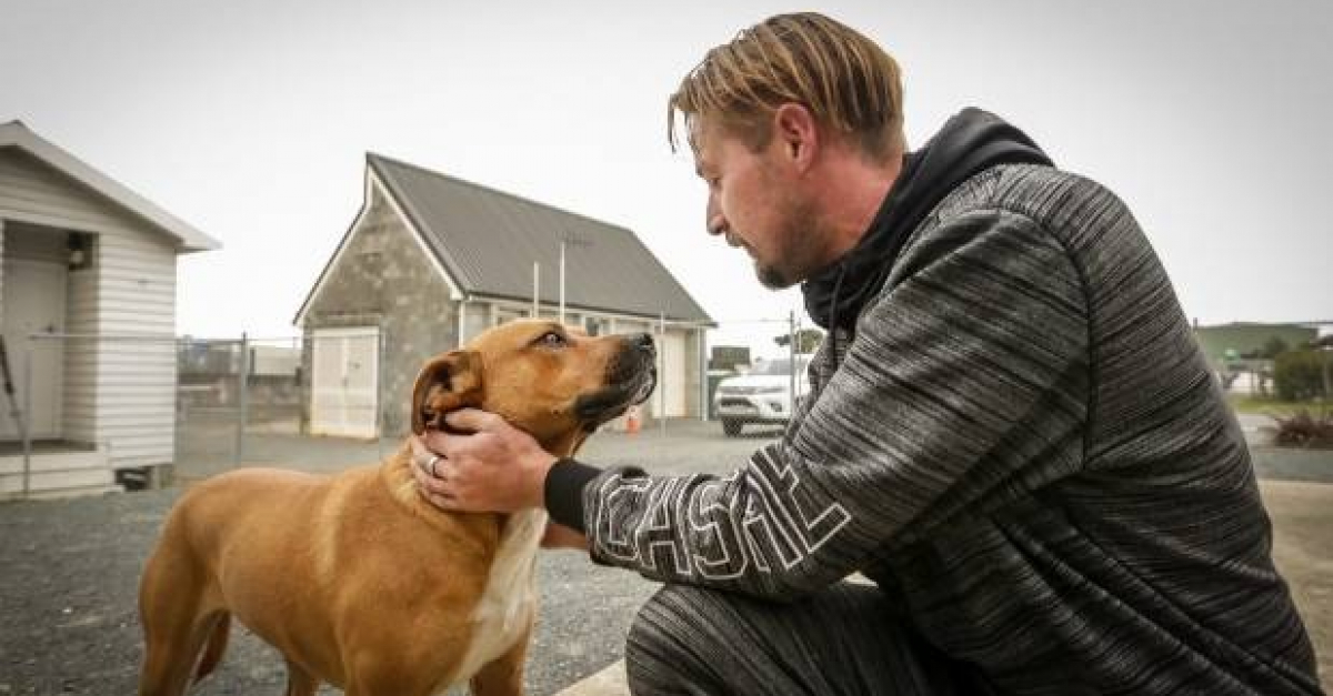 Retrouvailles Entre Un Maître Et Son Chien Un An Et 800 Kilomètres Après Sêtre Volatilisé Dans 0905