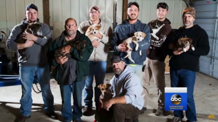 Illustration : Fêtant un enterrement de vie de garçon dans les bois, un groupe d’amis sauve 7 chiots et leur mère 