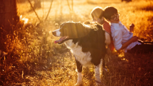 Illustration : Avoir un chien quand on a un enfant autiste : brillante idée selon la science