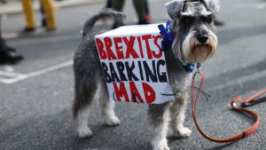 Illustration : Brexit : Les chiens ont, eux aussi, leur mot à dire