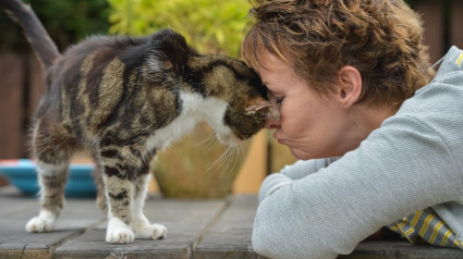 Illustration : Elle perd son chat âgé de 4 ans. 13 ans plus tard, elle reçoit un appel inattendu !