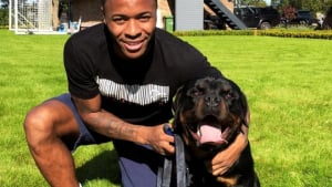 Illustration : Joueur de football, Raheem Sterling s’offre un chien de garde à 17 000 € !