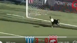 Illustration : (Vidéo) Un chien réalise une parade du museau en plein match de football