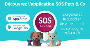 Illustration : Olivia Augereau (SOS Pets&Co) : « Beaucoup d’animaux sauvés grâce à notre application ! »