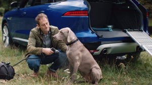 Illustration : Jaguar pense aux chiens avec une gamme de produits canins (vidéo)