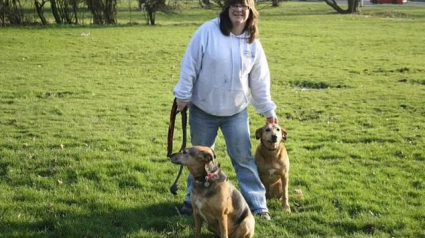 Illustration : Une promeneuse professionnelle surprise en train de maltraiter les chiens dont elle était censée s’occuper