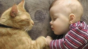 Illustration : 17 photos de chats dont l'amour vous réchauffera le cœur en un rien de temps ! 